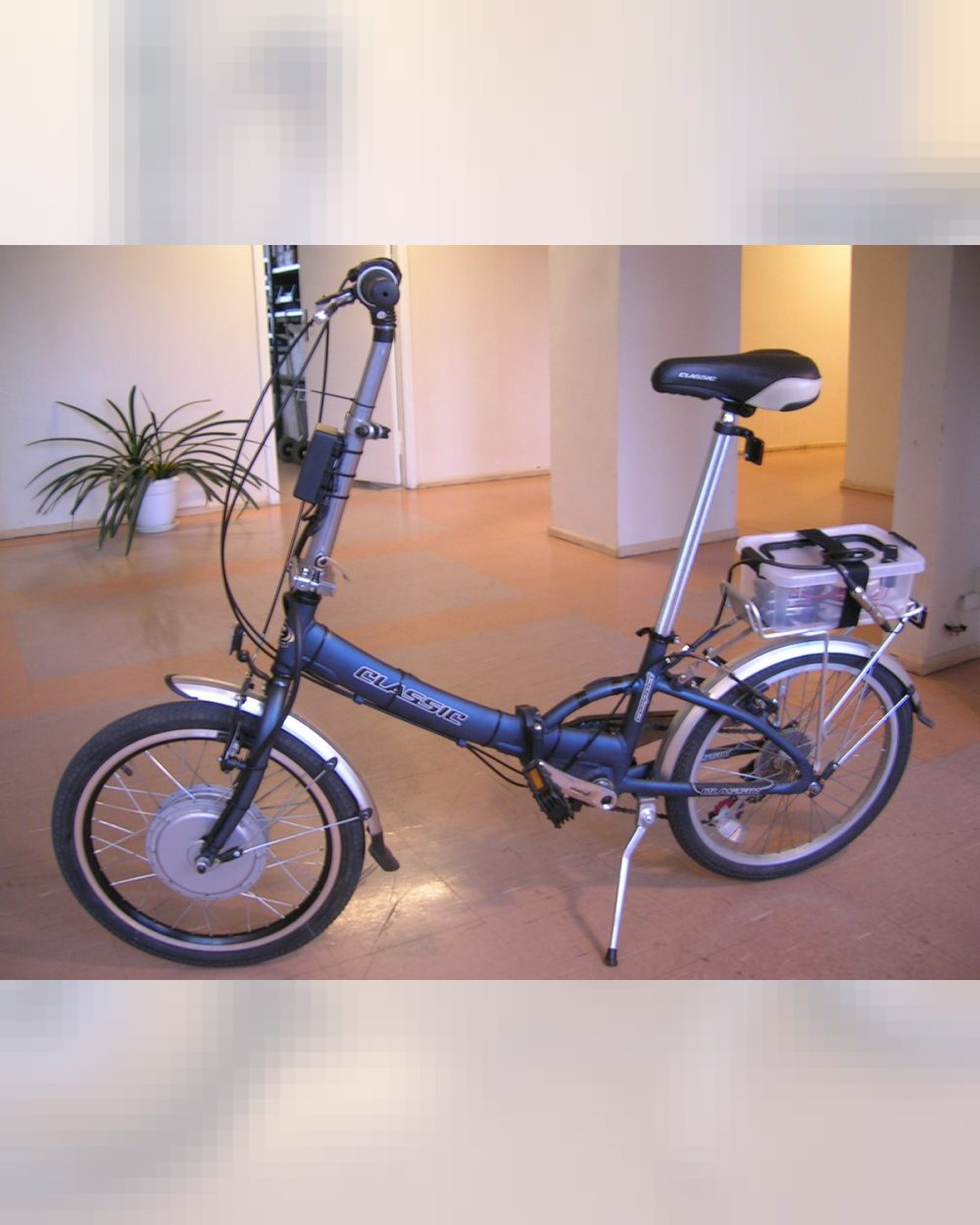 Foldable Electric Bike 250W 20 inch
