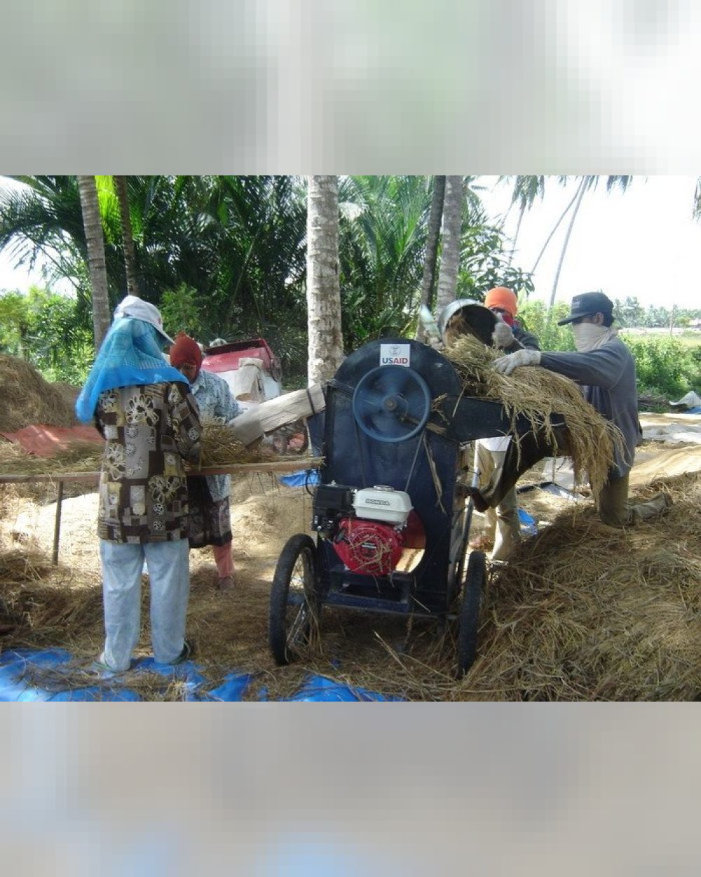 Paddy and Wheat Thresher